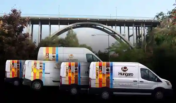 Hungaro flotta